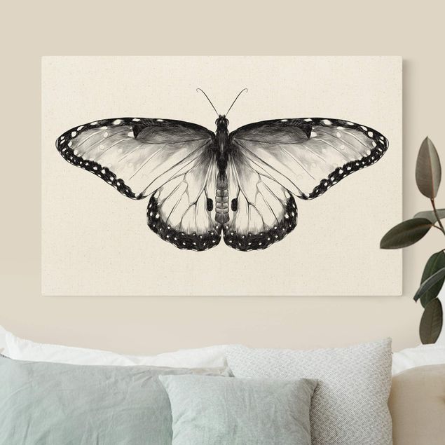 Toile papillon Illustration -  Papillon Morpho volant noir