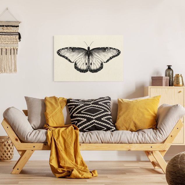 Tableaux animaux Illustration -  Papillon Morpho volant noir