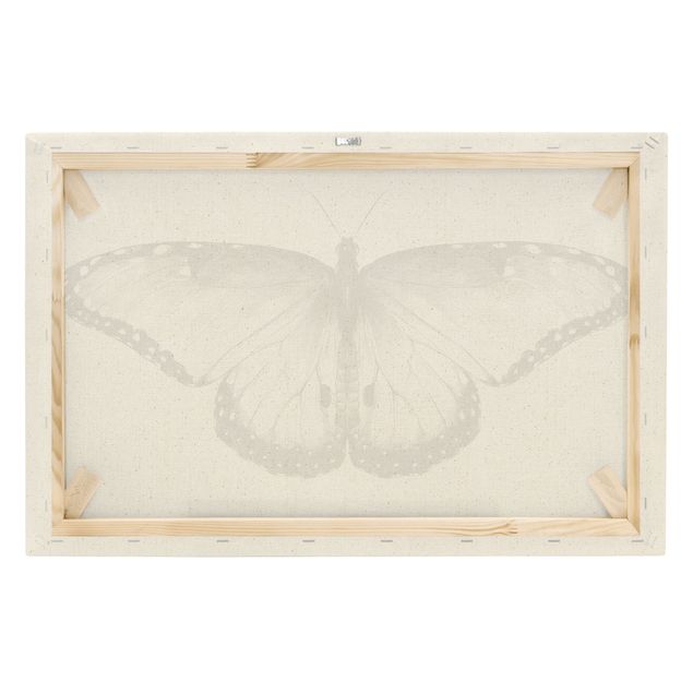 Tableaux Illustration -  Papillon Morpho volant noir