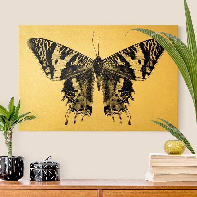 Tableau animaux Illustration Flying Madagascan Butterfly