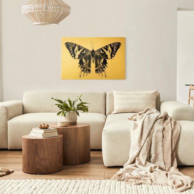 Toile papillon Illustration Flying Madagascan Butterfly