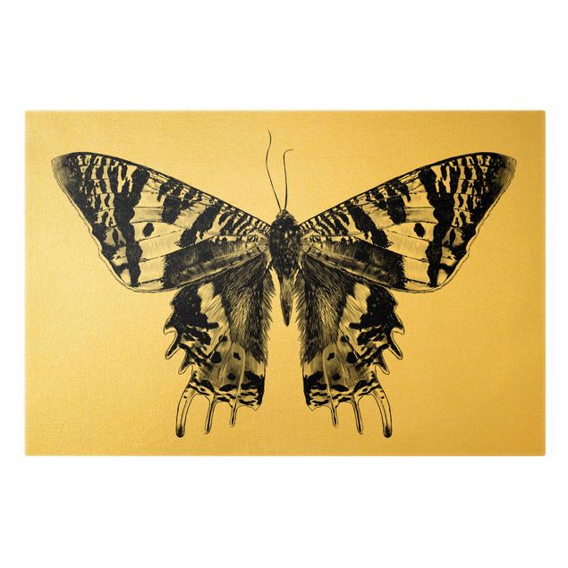 Tableau toile animaux Illustration Flying Madagascan Butterfly