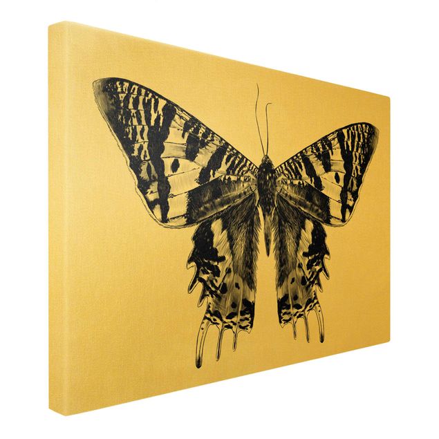 Tableau noir Illustration Flying Madagascan Butterfly