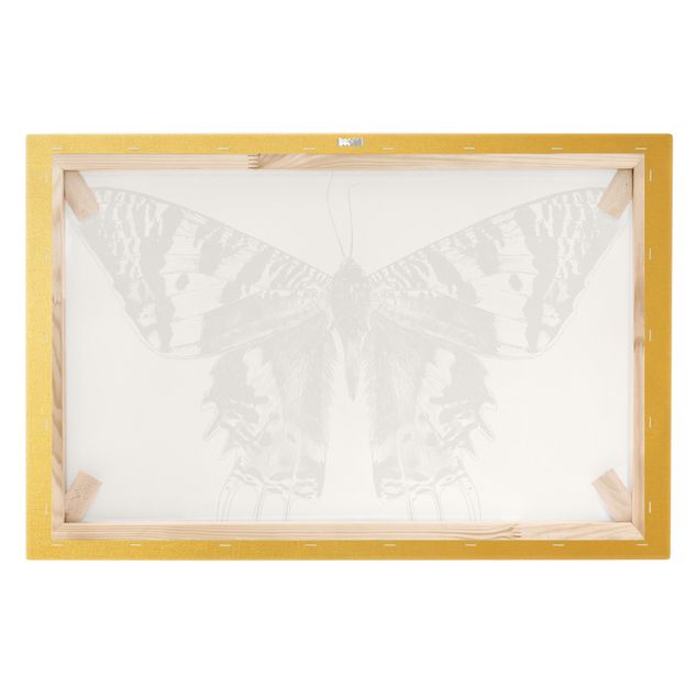 Impressions sur toile Illustration Flying Madagascan Butterfly