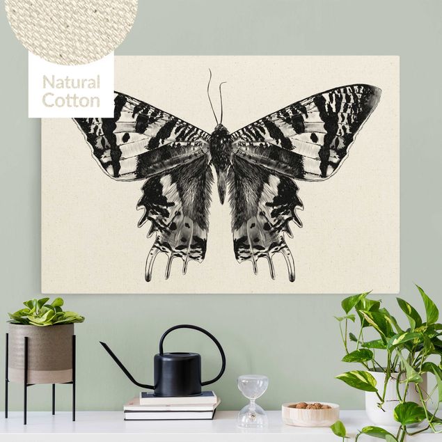 Tableau papillons Illustration -  Papillon de Madagascar volant