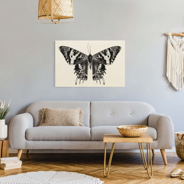 Tableau moderne Illustration -  Papillon de Madagascar volant