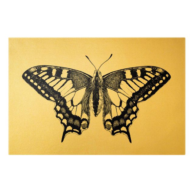 Tableau toile animaux Illustration Flying Dovetail Black