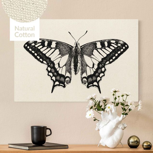 Tableau papillon Illustration -  Colibri volant noir