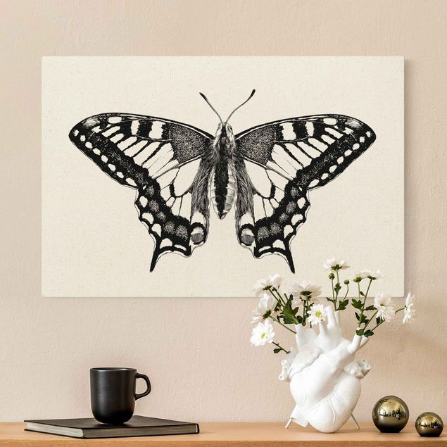 Toile papillon Illustration -  Colibri volant noir