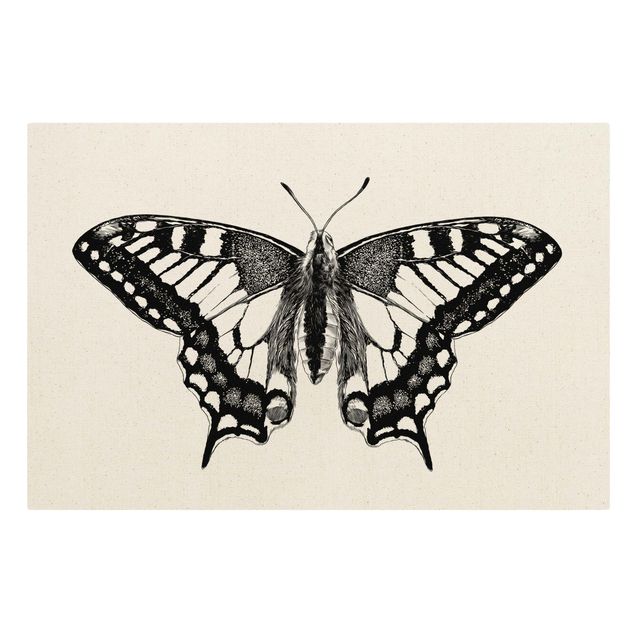 Toile imprimée animaux Illustration -  Colibri volant noir