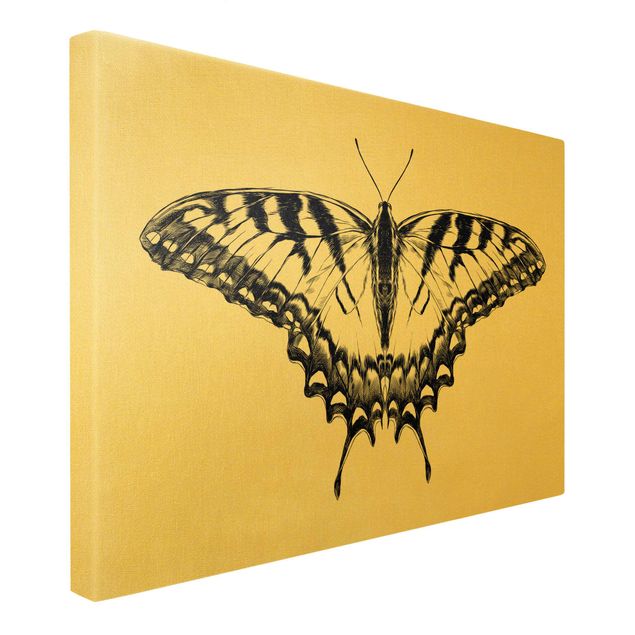Cadre animaux Illustration Flying Tiger Swallowtail Black