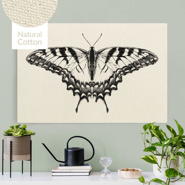 Tableau papillons Illustration -  Papillon glauque volant noir