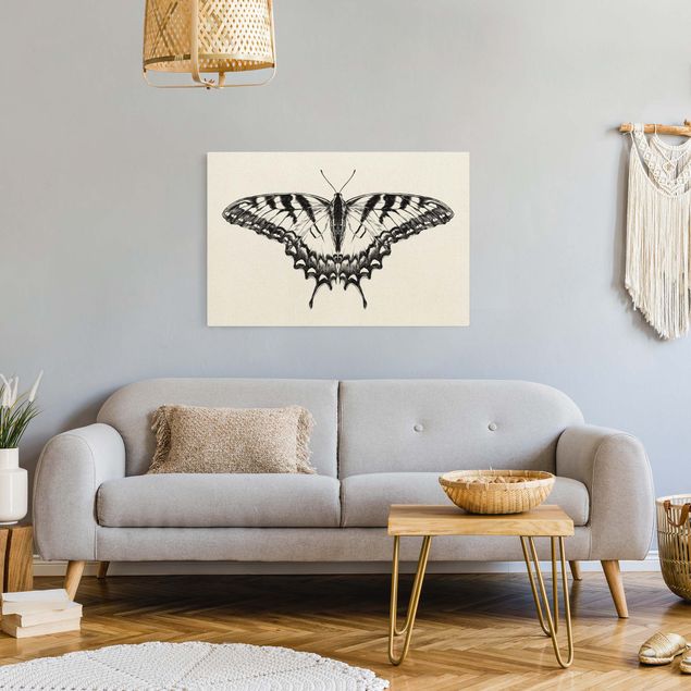 Tableau toile tigre Illustration -  Papillon glauque volant noir