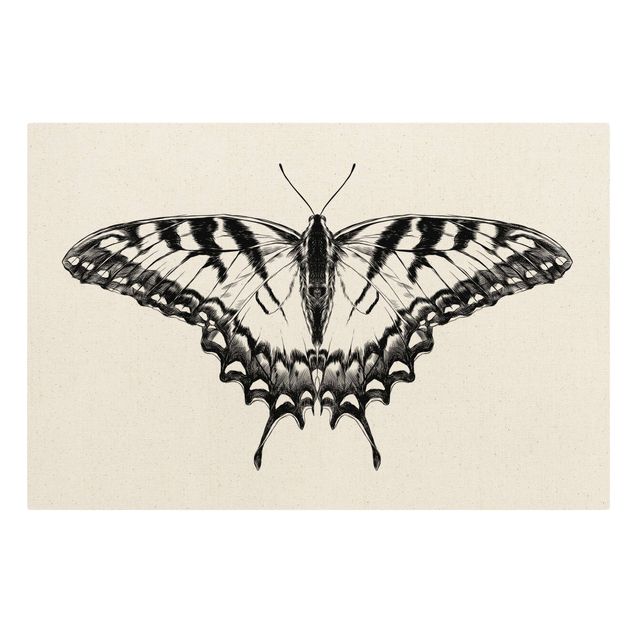 Tableau moderne Illustration -  Papillon glauque volant noir