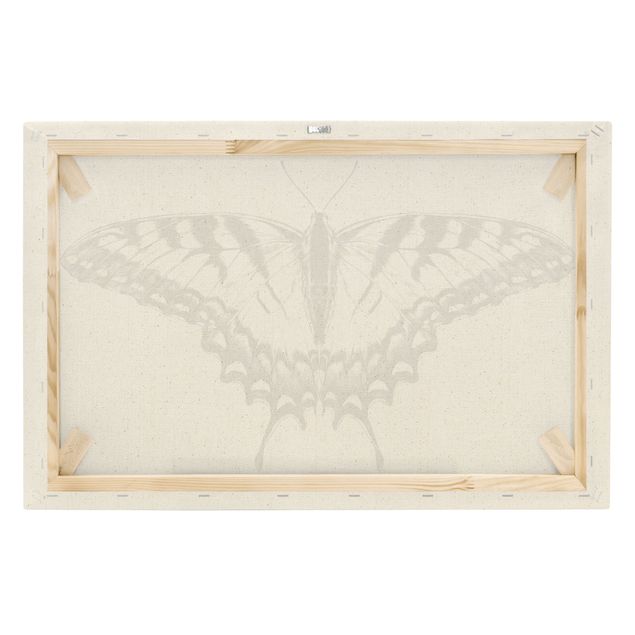 Tableau noir Illustration -  Papillon glauque volant noir