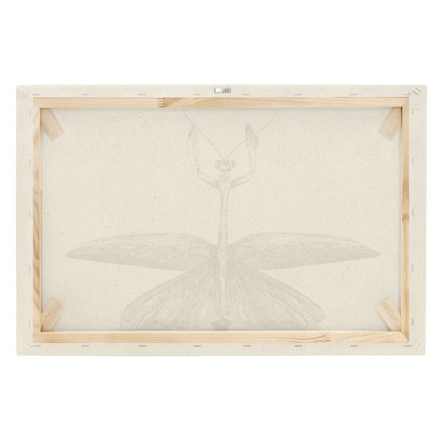 Tableau sur toile naturel - Illustration Proud Mantis Black - Format paysage 3:2