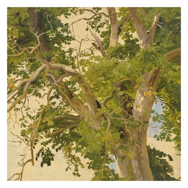 Papier peint vert Jakob Becker - Cime des arbres