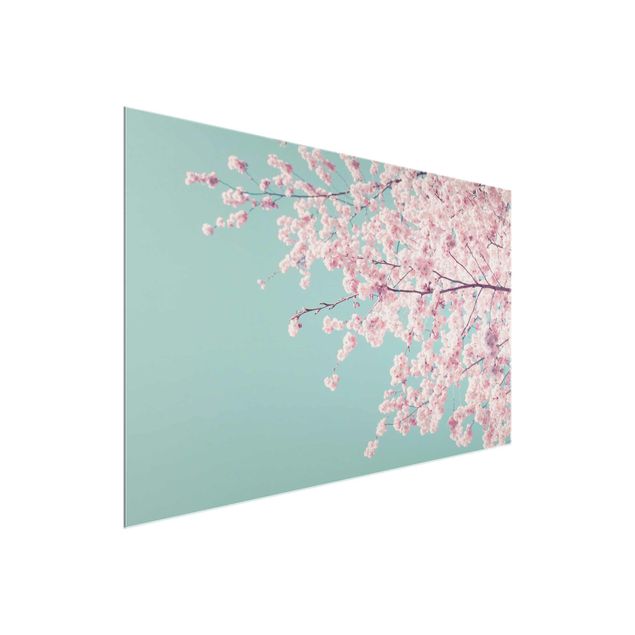 Tableaux fleurs Japanese Cherry Blossoms