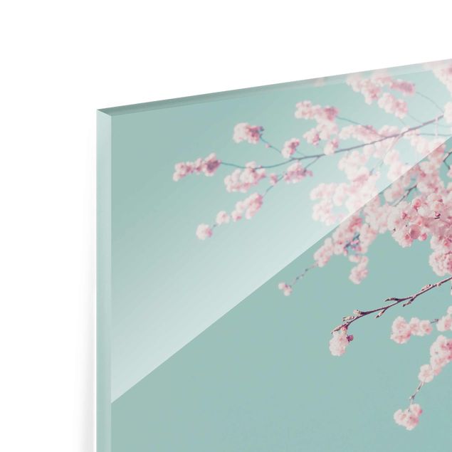 Tableaux en verre magnétique Japanese Cherry Blossoms