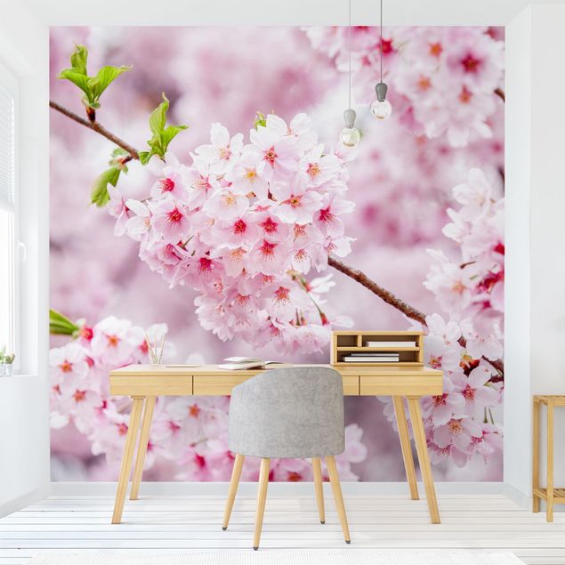 Décorations cuisine Japanese Cherry Blossoms