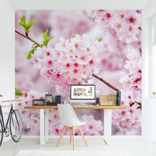 Papier peint moderne Japanese Cherry Blossoms