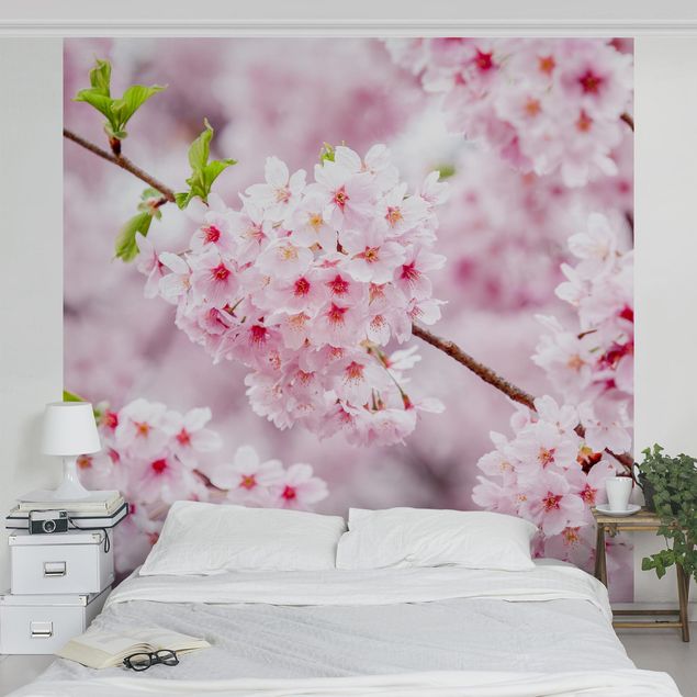 Papier peint fleurs Japanese Cherry Blossoms