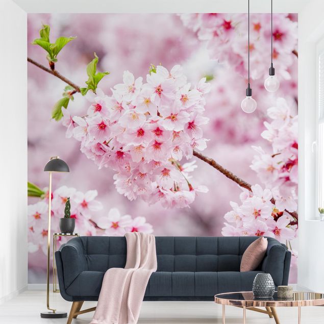 Papier peint ville Japanese Cherry Blossoms