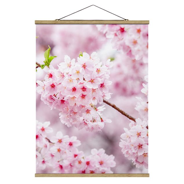 Tableau fleurs Japanese Cherry Blossoms