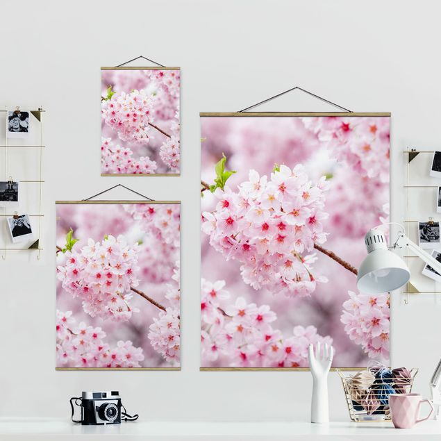 Tableau rose Japanese Cherry Blossoms