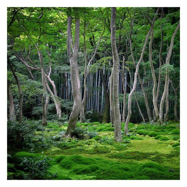 papier peint xxl Forêt japonaise