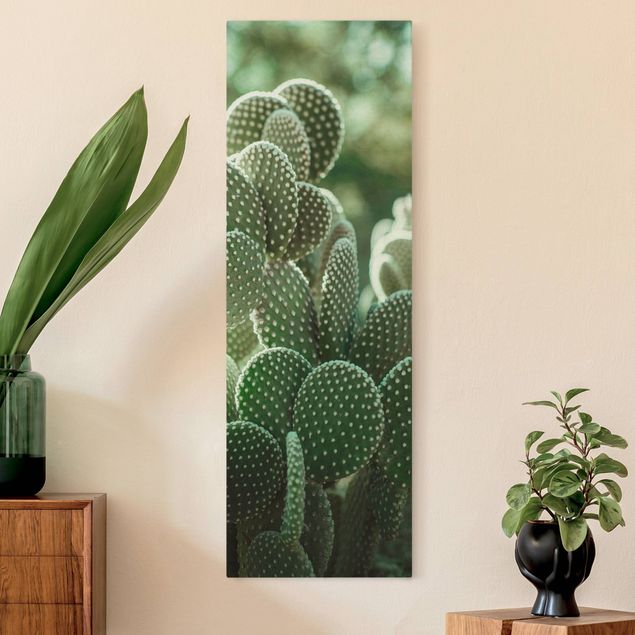 Tableaux moderne Cactus