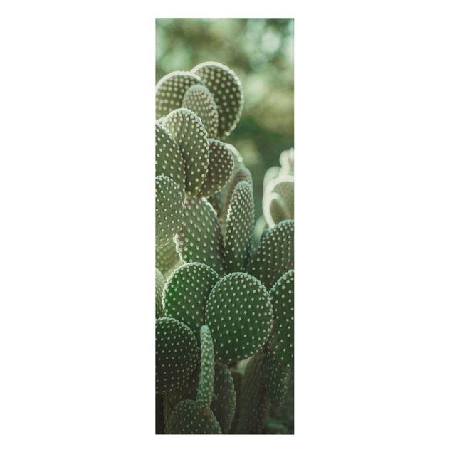 Tableau couleur vert Cactus