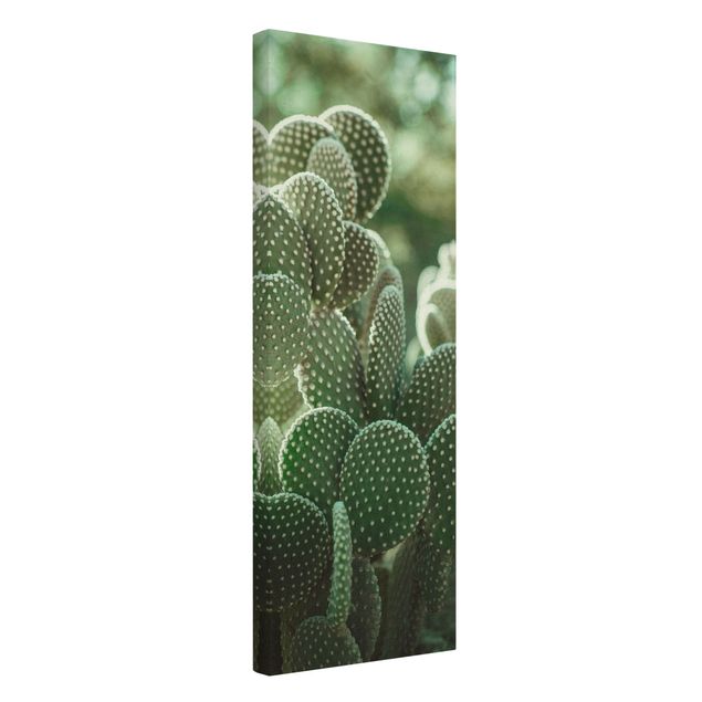 Tableaux muraux Cactus