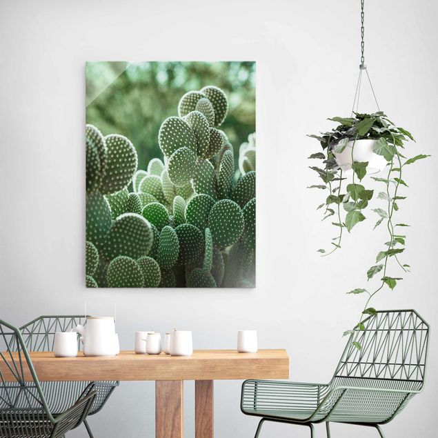 Tableaux en verre fleurs Cactus