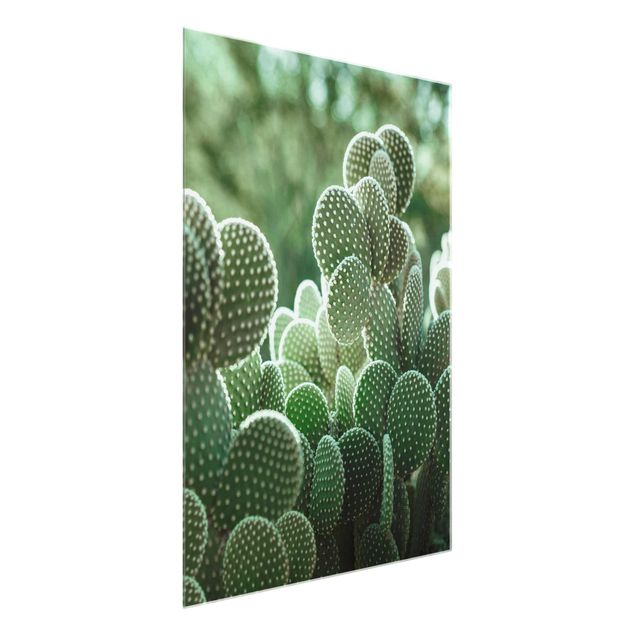 Tableau fleurs Cactus