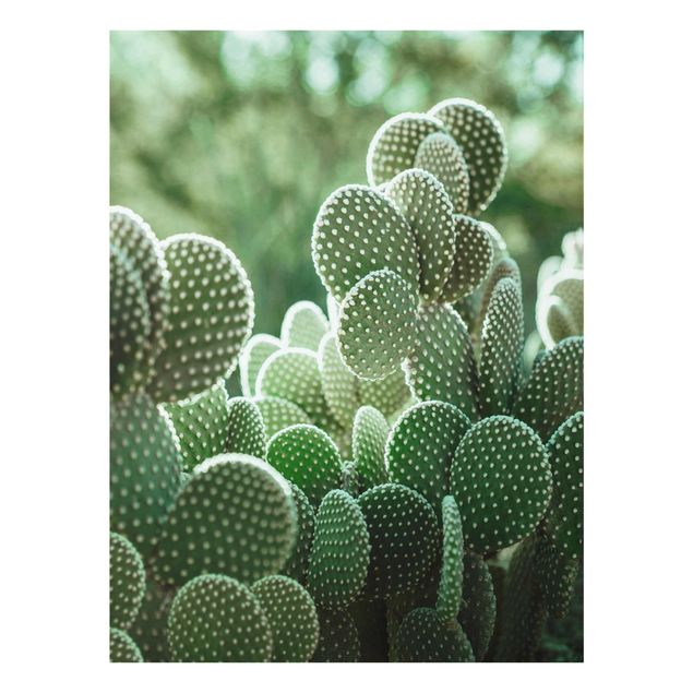 Tableau vert Cactus