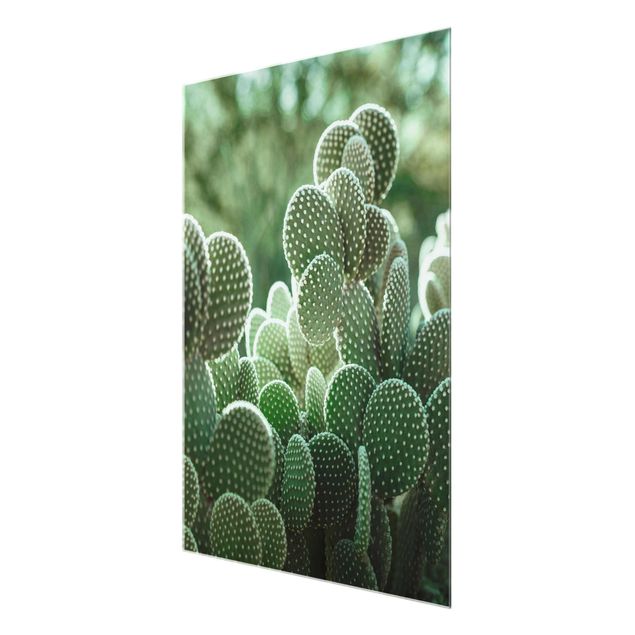 Tableau décoration Cactus