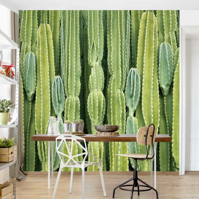 Papier peint fleurs Mur de cactus