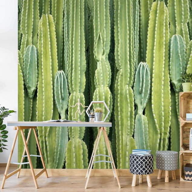 Papier peint à motifs Mur de cactus