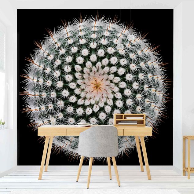 Papiers peints modernes Fleur de cactus