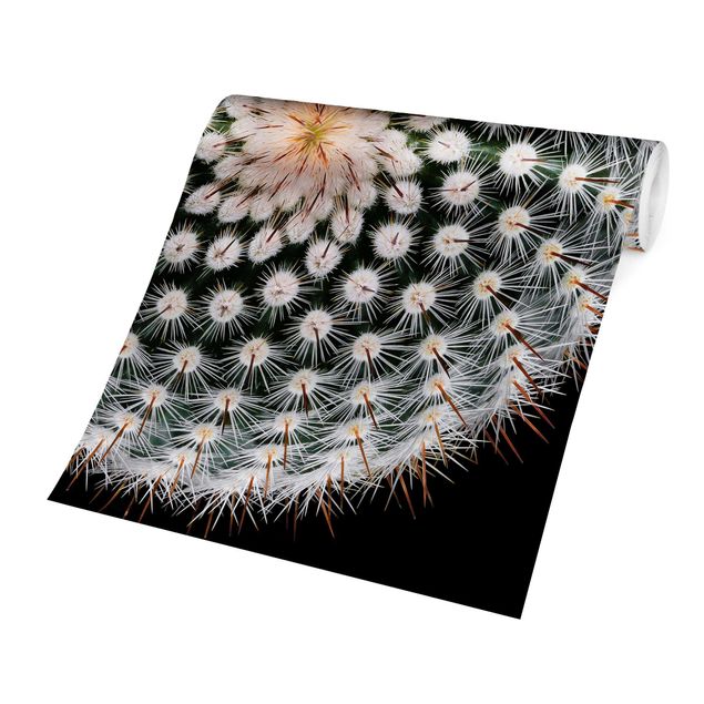 Papiers peints noirs Fleur de cactus