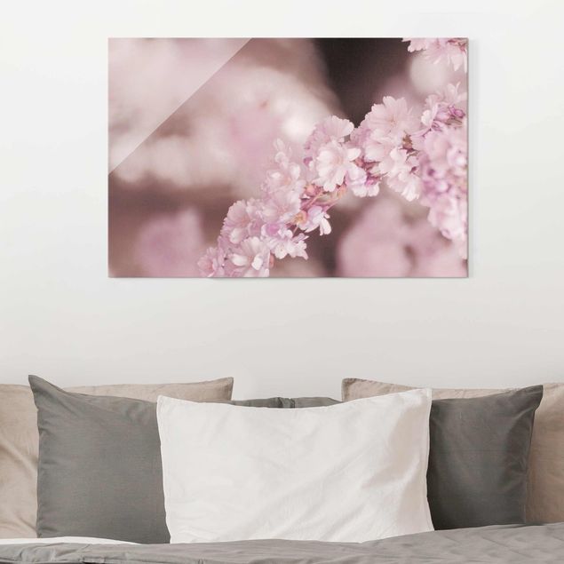 Déco mur cuisine Fleurs de cerisier dans une lumière violette