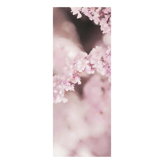Tableau marron moderne Fleurs de cerisier dans une lumière violette