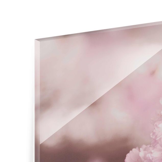 Tableaux en verre magnétique Fleurs de cerisier dans une lumière violette