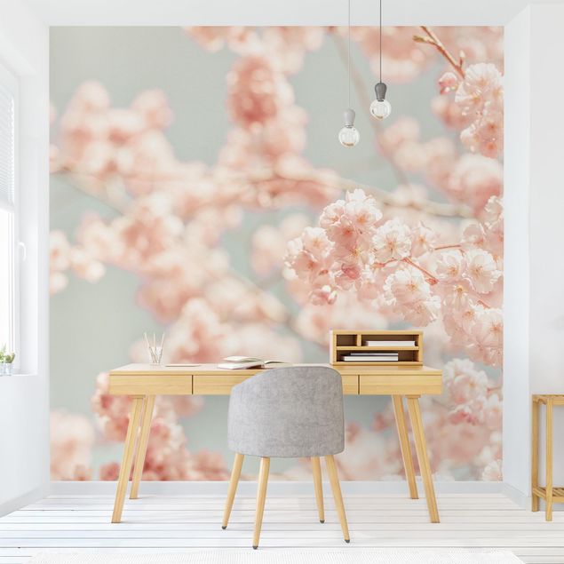 papier peint fleuri Cherry Blossom Glow