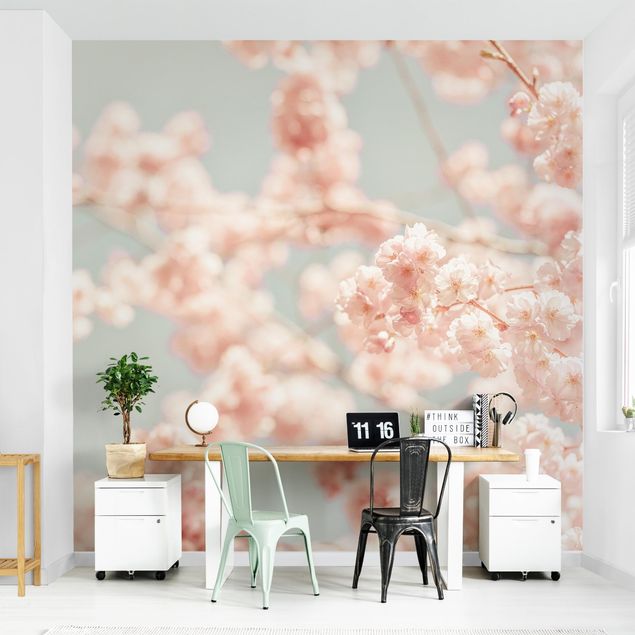 Papier peint maison de campagne Cherry Blossom Glow