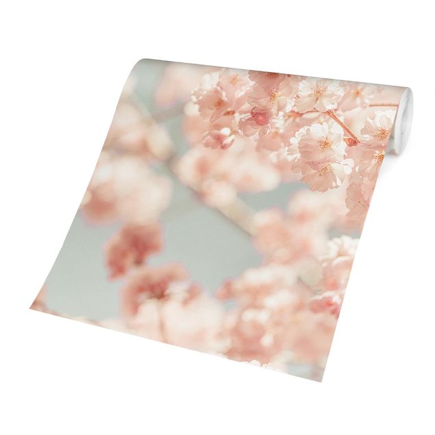 Tapisserie rose Cherry Blossom Glow