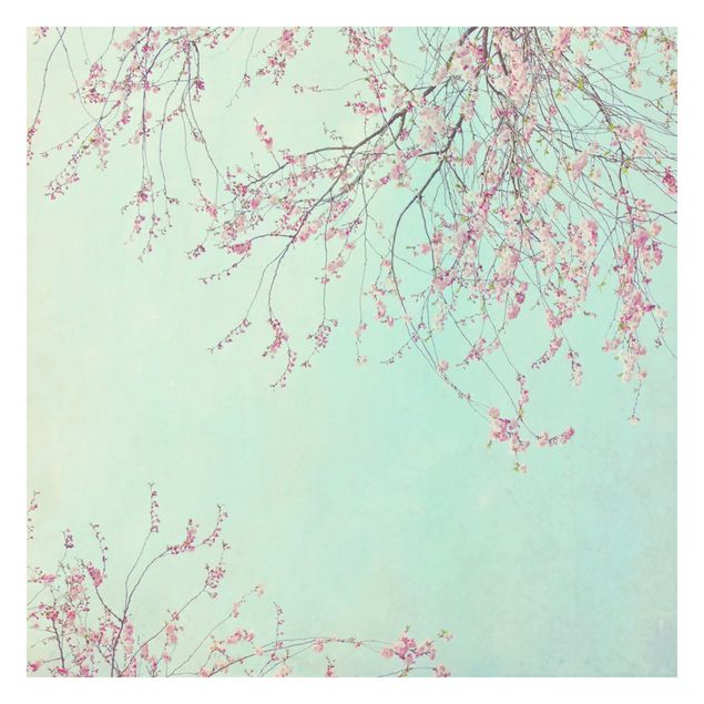 Papier peint - Cherry Blossom Yearning