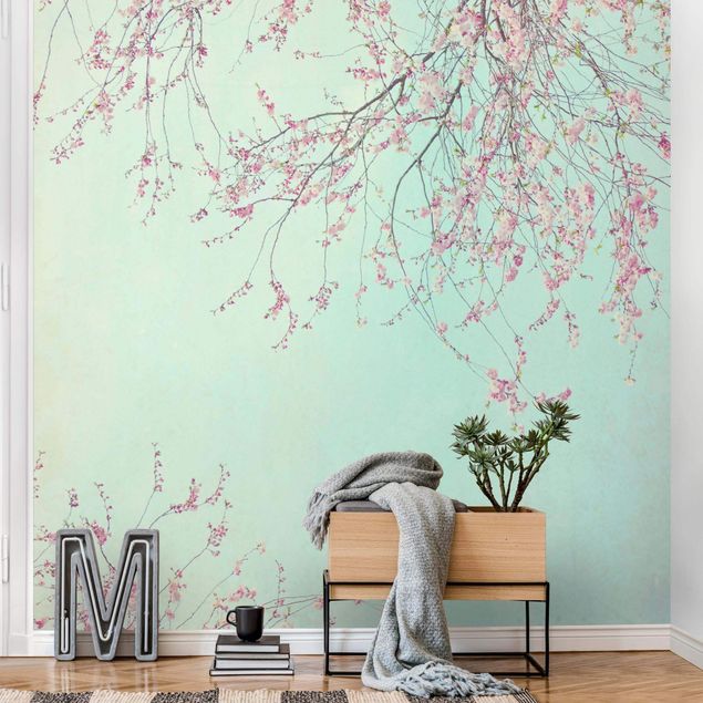 Papier peint fleurs Aspiration d'une fleur de cerisier