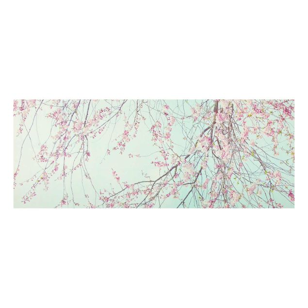 Tableaux turquoise Aspiration d'une fleur de cerisier